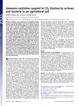 Ammonia Oxidation Coupled to CO2 Fixation by Archaea and Bacteria In