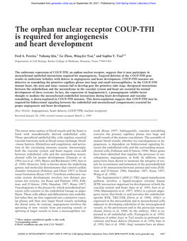 The Orphan Nuclear Receptor COUP-TFII Is Required for Angiogenesis and Heart Development