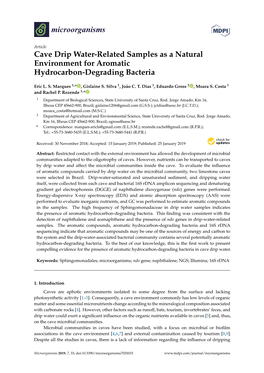 Cave Drip Water-Related Samples As a Natural Environment for Aromatic Hydrocarbon-Degrading Bacteria