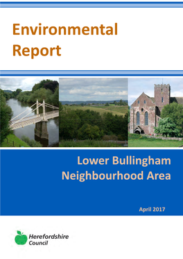 Lower Bullingham Environmental Report April 2017