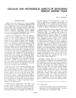 Cellular and Histological Aspects of Developing Porcine Adipose Tissue