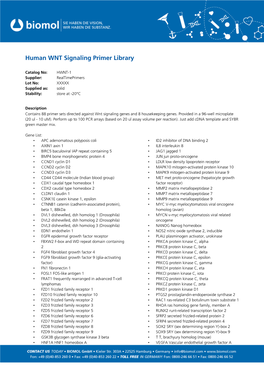 Human WNT Signaling Primer Library