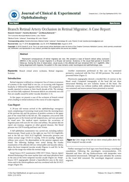 Branch Retinal Artery Occlusion in Retinal