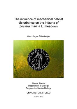 The Influence of Mechanical Habitat Disturbance on the Infauna of Zostera Marina L. Meadows