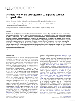 DNA Methylation in Germ Cell Tumour Aetiology: Current Understanding