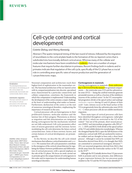 Cell-Cycle Control and Cortical Development