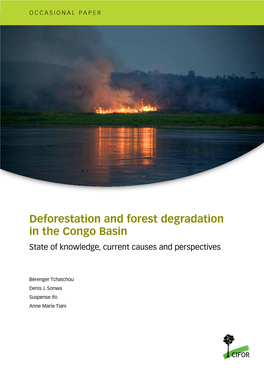 Deforestation and Forest Degradation in the Congo Basin State of Knowledge, Current Causes and Perspectives