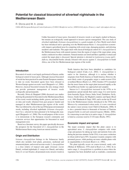 Potential for Classical Biocontrol of Silverleaf Nightshade in The