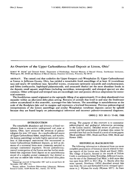 An Overview of the Upper Carboniferous Fossil Deposit at Linton, Ohio1