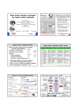 Gene-Based Therapy Strategies for Human Usher Syndrome