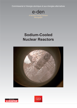 Sodium Cooled Nuclear Reactors