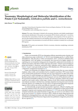 Taxonomy, Morphological and Molecular Identification of The