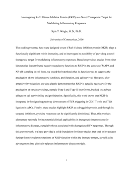 Interrogating Raf-1 Kinase Inhibitor Protein (RKIP) As a Novel Therapeutic Target For