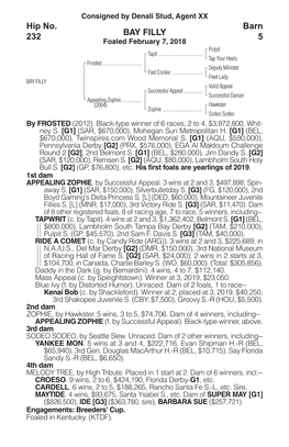 BAY FILLY Barn 5 Hip No