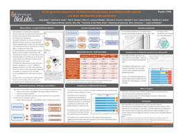 Poster # P66 and Their Wolbachia Endosymbionts Amit Sinha1*, Catherine B