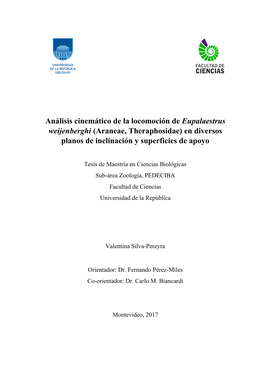 Análisis Cinemático De La Locomoción De Eupalaestrus Weijenberghi (Araneae, Theraphosidae) En Diversos Planos De Inclinación Y Superficies De Apoyo