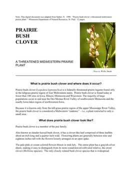 Prairie Bush Clover: a Threatened Midwestern Prairie Plant.” Minnesota Department of Natural Resources, St