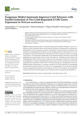 Exogenous Methyl Jasmonate Improves Cold Tolerance with Parallel Induction of Two Cold-Regulated (COR) Genes Expression in Triticum Aestivum L