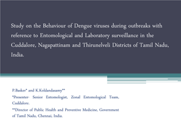 Study on the Behaviour of Dengue Viruses During Outbreaks With