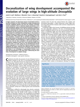 Decanalization of Wing Development Accompanied the Evolution of Large Wings in High-Altitude Drosophila