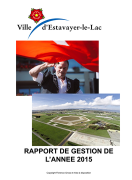 Rapport De Gestion De L'annee 2015