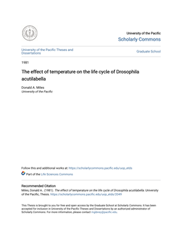 The Effect of Temperature on the Life Cycle of Drosophila Acutilabella