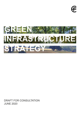 Draft Green Infrastructure Strategy June 2020 CONTENTS