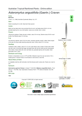 Asteromyrtus Angustifolia (Gaertn.) Craven Family: Myrtaceae Craven, L.A