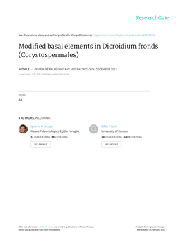 Modified Basal Elements in Dicroidium Fronds (Corystospermales)