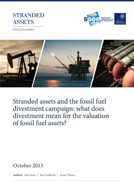 Stranded Assets and the Fossil Fuel Divestment Campaign: What Does Divestment Mean for the Valuation of Fossil Fuel Assets?