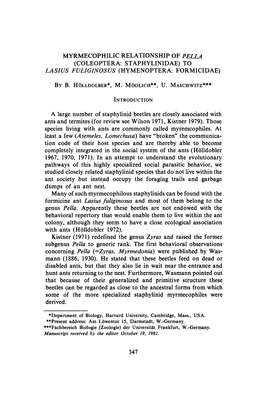 Myrmecophilic Relationship of Pella (Coleoptera: Staphylinidae) to Lasius Fuliginosus (Hymenoptera: Formicidae)