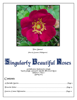 Singularly Beautiful Roses