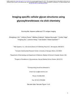 Imaging Specific Cellular Glycan Structures Using Glycosyltransferases Via Click Chemistry