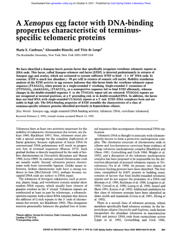 A Xenopus Egg Factor with DNA-Binding Properties Characterisuc of Terminus- Specific Telomeric Proteins