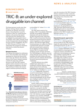 An Under-Explored Druggable Ion Channel