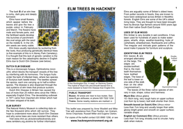 Hackney Elms V6