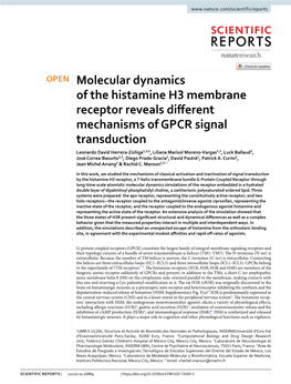 Molecular Dynamics of the Histamine H3 Membrane Receptor