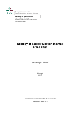 Etiology of Patellar Luxation in Small Breed Dogs