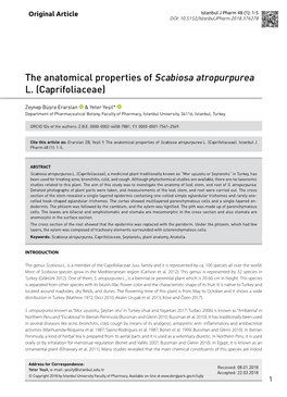 The Anatomical Properties of Scabiosa Atropurpurea L. (Caprifoliaceae)