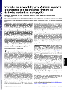 Schizophrenia Susceptibility Gene Dysbindin Regulates Glutamatergic and Dopaminergic Functions Via Distinctive Mechanisms in Drosophila