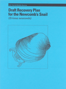 Newcombssnaildraftrp.Pdf