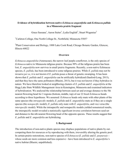 Evidence of Hybridization Between Native Echinacea Angustifolia and Echinacea Pallida in a Minnesota Prairie Fragment