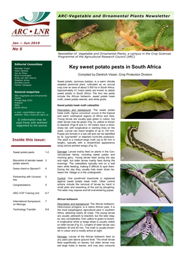 Key Sweet Potato Pests in South Africa