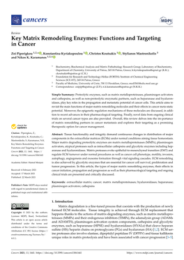 Key Matrix Remodeling Enzymes: Functions and Targeting in Cancer