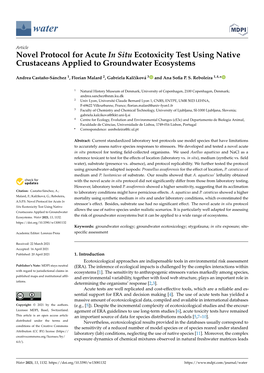 Novel Protocol for Acute in Situ Ecotoxicity Test Using Native Crustaceans Applied to Groundwater Ecosystems