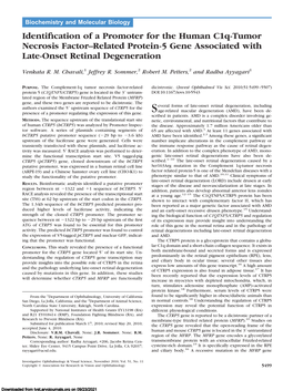 Identification of a Promoter for the Human C1q-Tumor Necrosis Factor