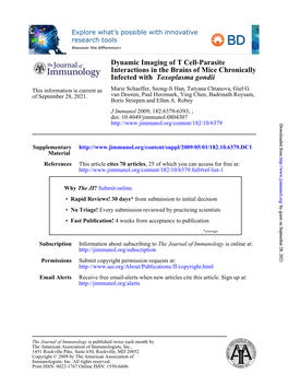 Toxoplasma Gondii Infected with Chronically Interactions in The