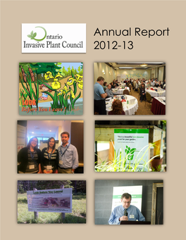 2012-2013 Annual Report