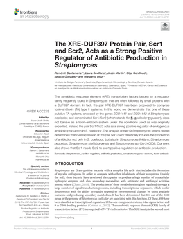 The XRE-DUF397 Protein Pair, Scr1 and Scr2, Acts As a Strong Positive Regulator of Antibiotic Production in Streptomyces
