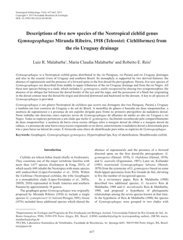 Descriptions of Five New Species of the Neotropical Cichlid Genus Gymnogeophagus Miranda Ribeiro, 1918 (Teleostei: Cichliformes) from the Rio Uruguay Drainage